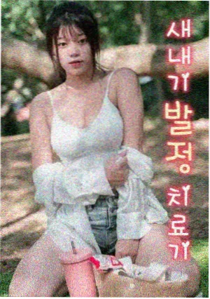 自然纪录片《候鸟旅馆》海报